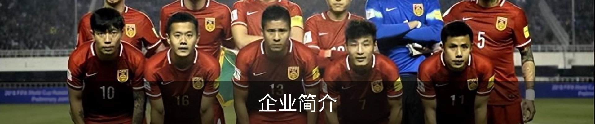 企业简介